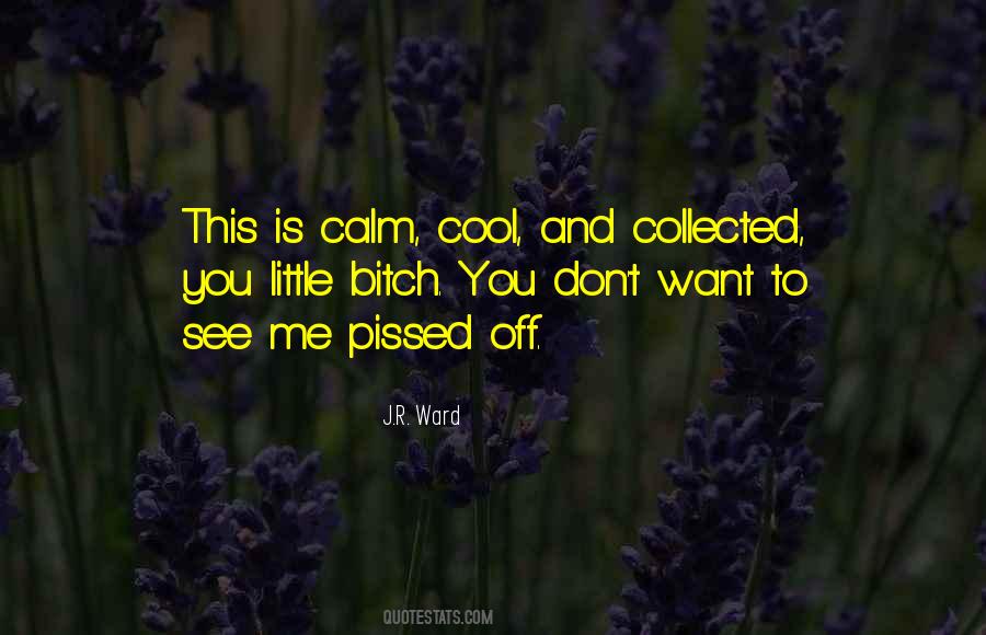 Pissed You Off Quotes #1267739