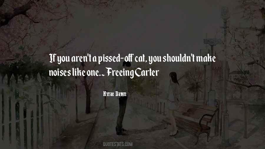 Pissed You Off Quotes #1611260