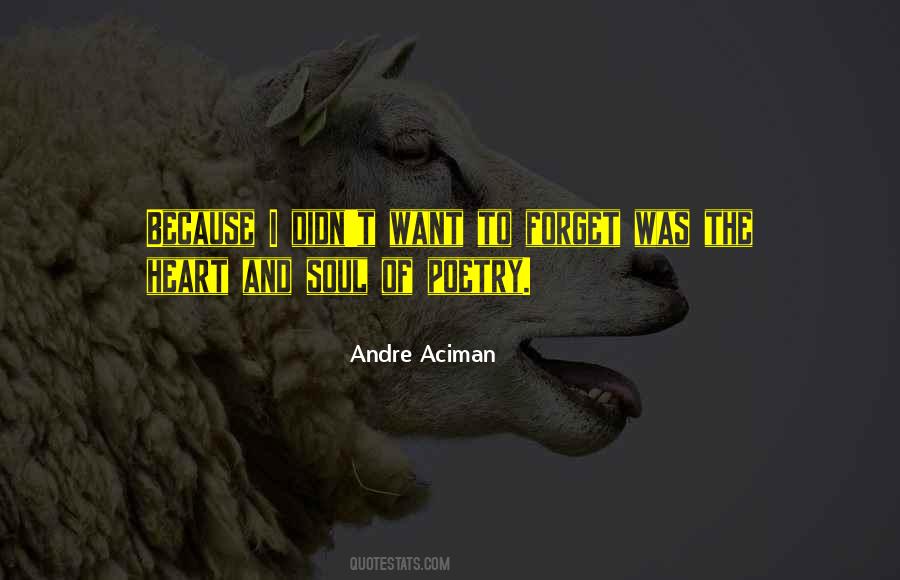 Quotes About Aciman #366638
