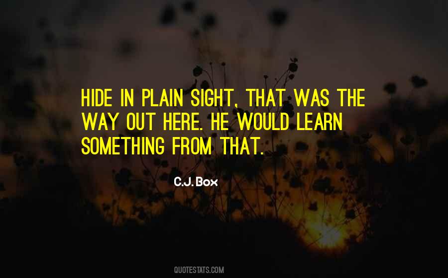 Plain Sight Quotes #328008