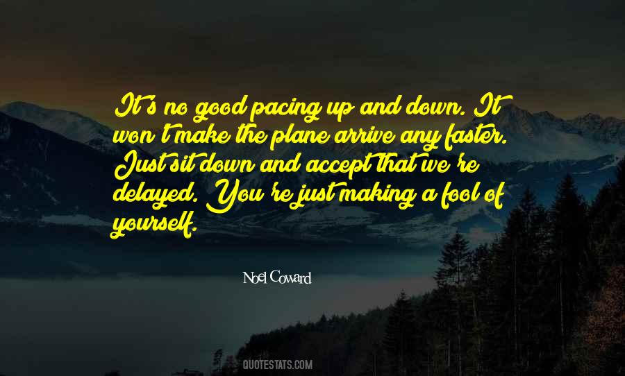 Plane Quotes #1079210