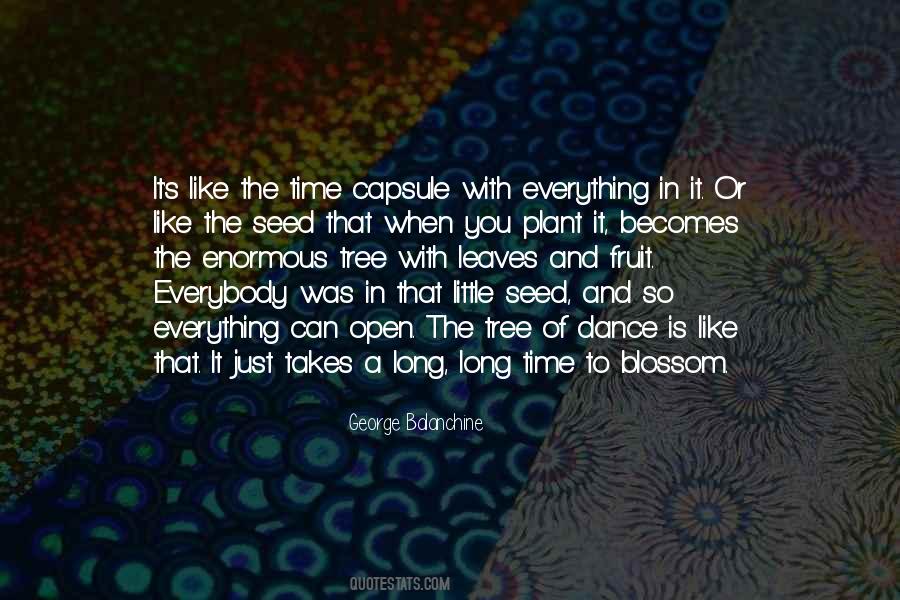 Plant Seed Quotes #586193