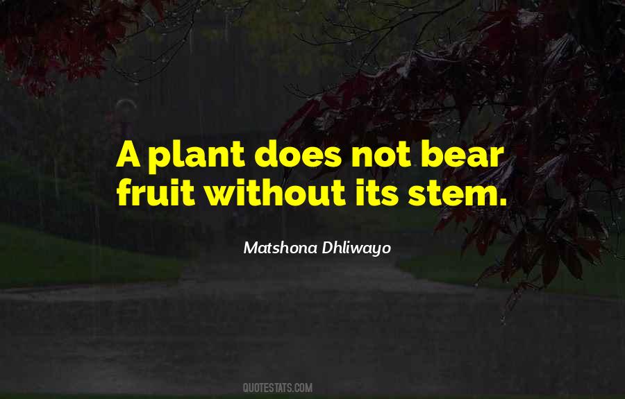 Plant Stem Quotes #478515