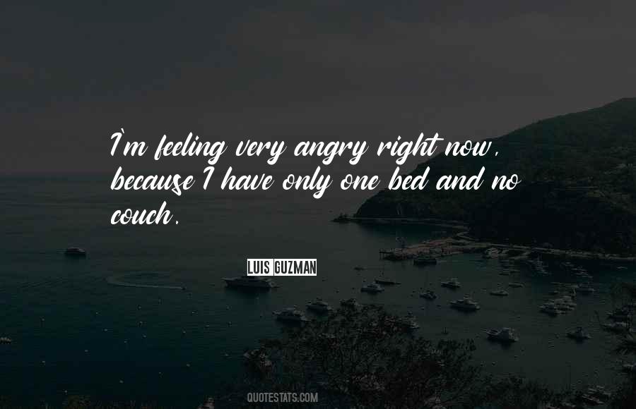 Quotes About Angry Feelings #208547