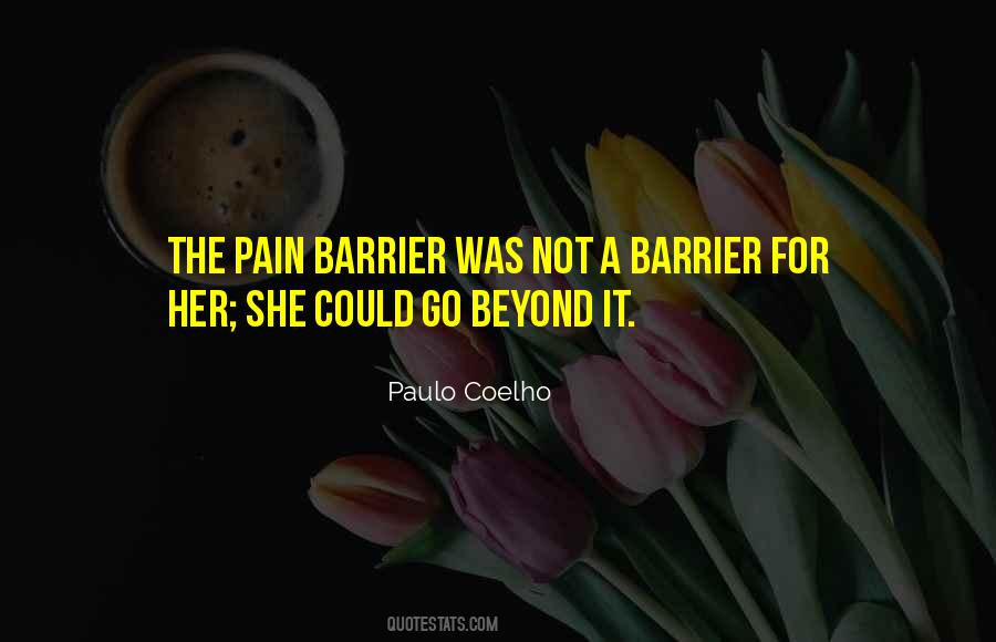 Quotes About Barriers In Life #1003229