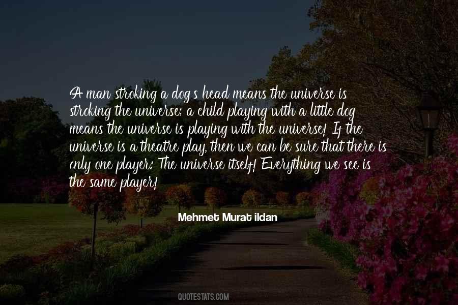Playing With My Dog Quotes #1836029