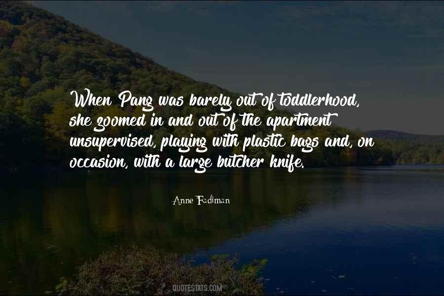 Playing With Quotes #1368140