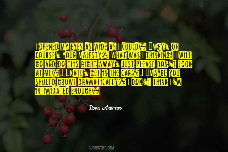 Please Don't Go Quotes #1756766