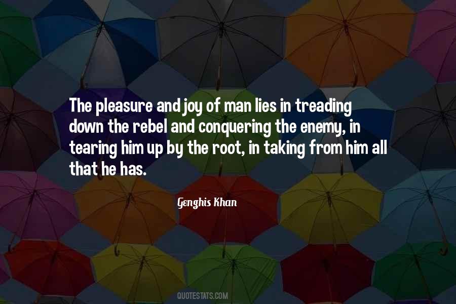 Pleasure And Joy Quotes #1437362