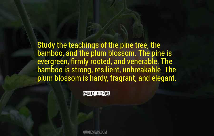 Plum Tree Quotes #1384925