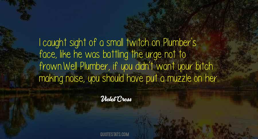 Plumber Quotes #1490440