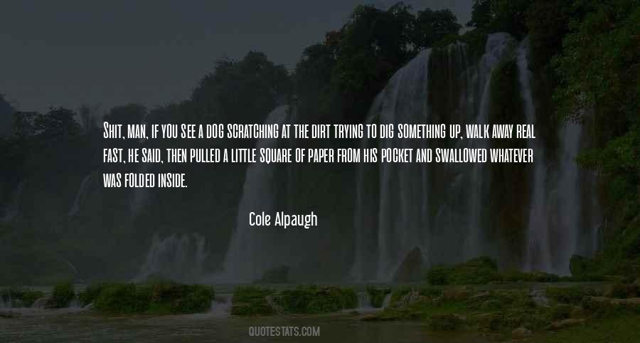 Pocket Square Quotes #1029615
