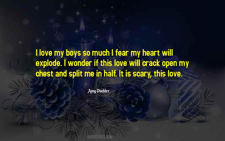 Poehler Quotes #378818 Poehler Quotes #378818