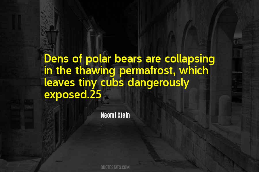 Polar Quotes #518312