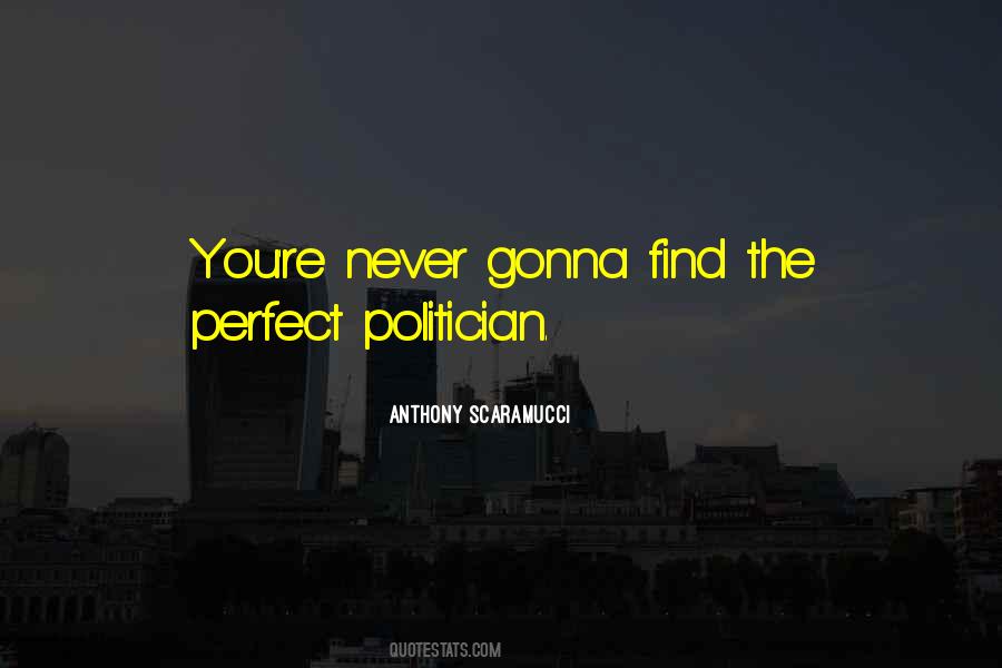 Politician Quotes #1243539