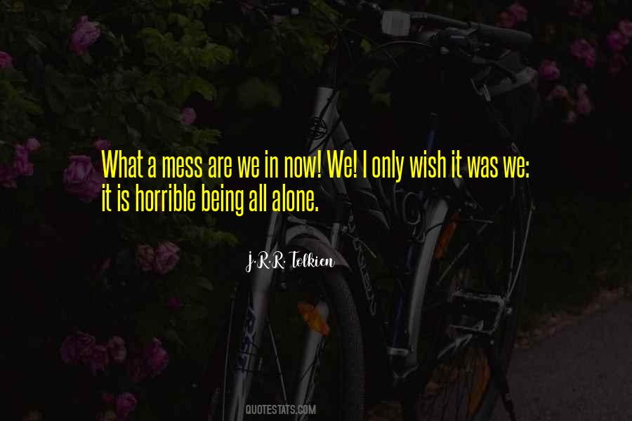 Quotes About Being A Mess #112360