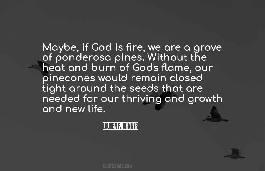 Ponderosa Quotes #1781886