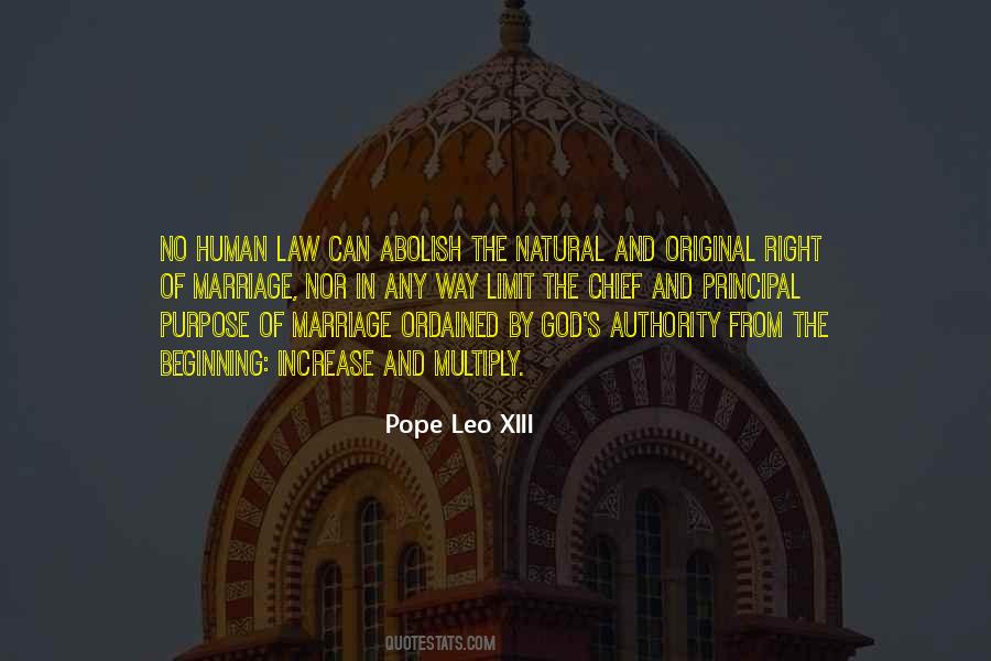 Pope Leo Quotes #31800