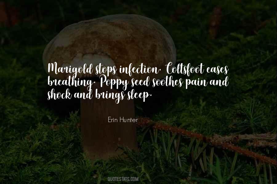 Poppy Seed Quotes #1422921