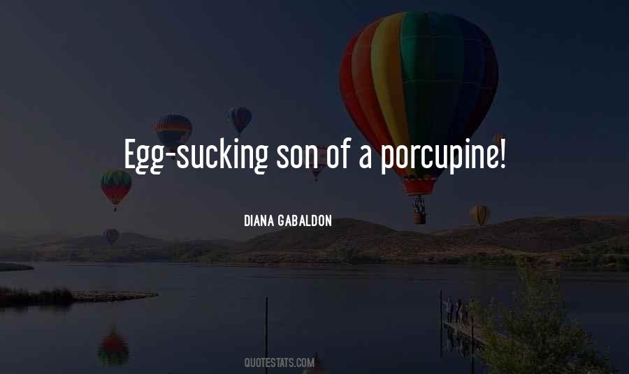 Porcupine Quotes #1795722