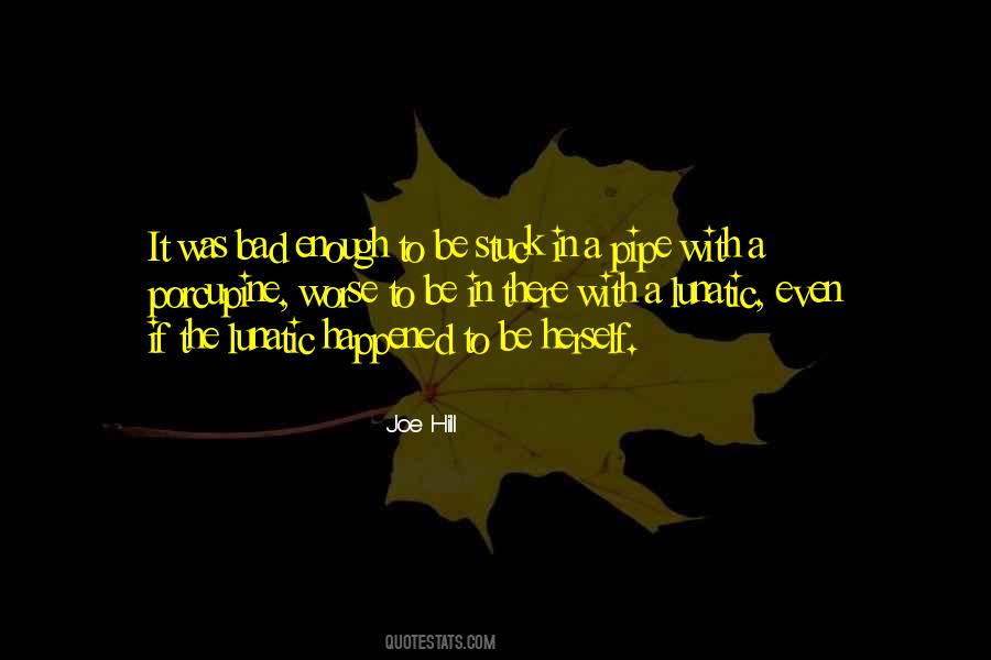 Porcupine Quotes #634661