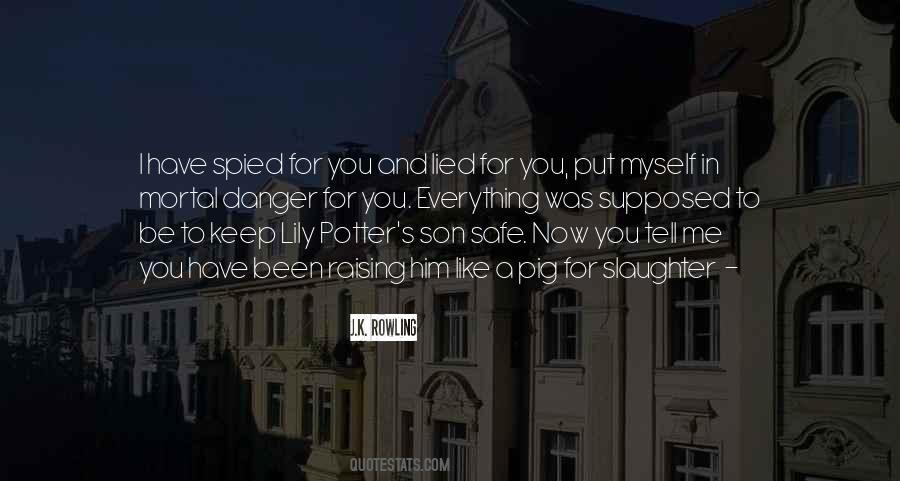 Potter Quotes #1024620