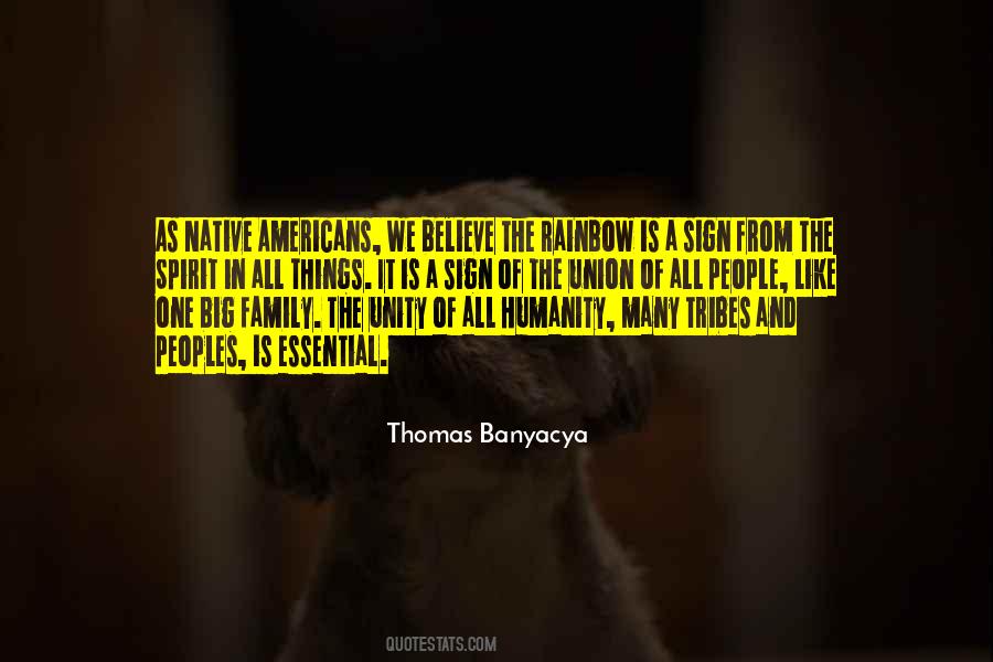 Quotes About American Unity #1031391