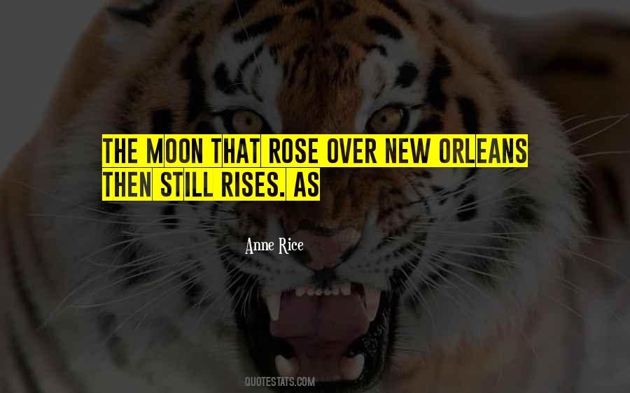 Quotes About Anne Rice #57416