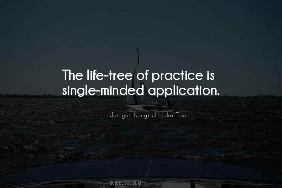 Practice Makes You Perfect Quotes #373058