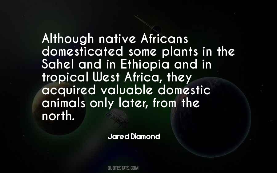 Quotes About Africans #258174