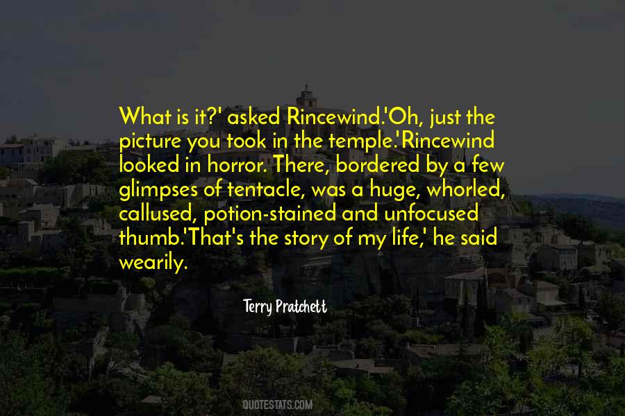 Pratchett Rincewind Quotes #868784