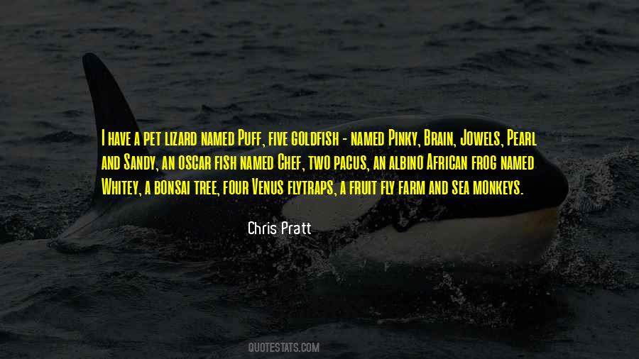 Pratt Quotes #341935