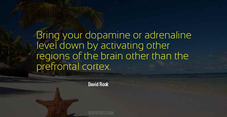 Prefrontal Cortex Quotes #1152808