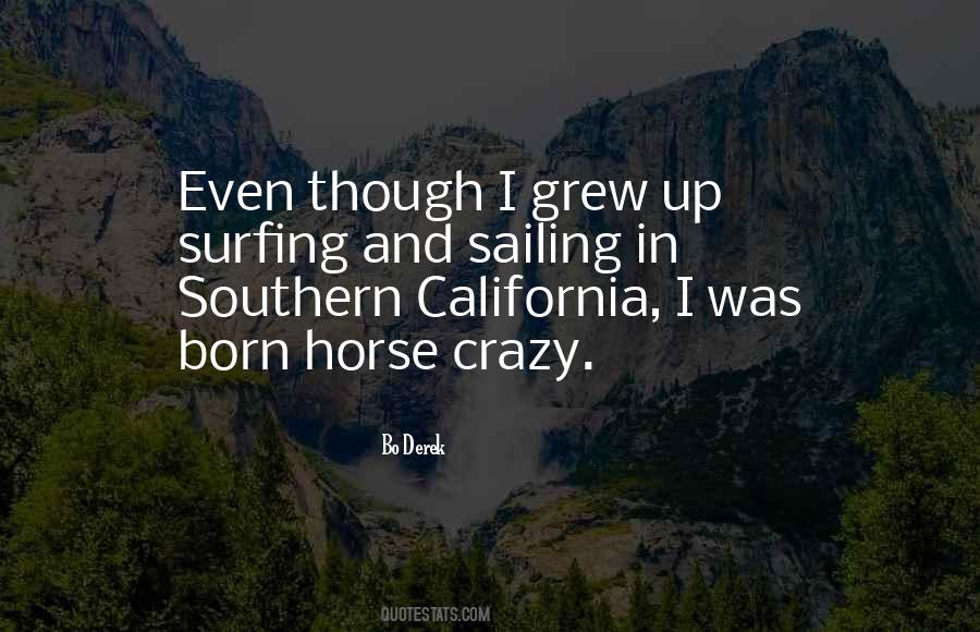 Quotes About Crazy Horse #1158344