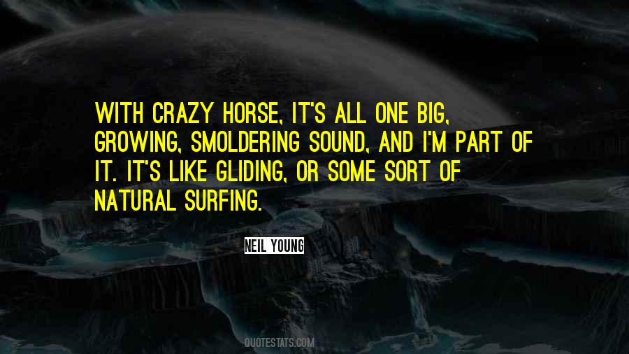 Quotes About Crazy Horse #432765