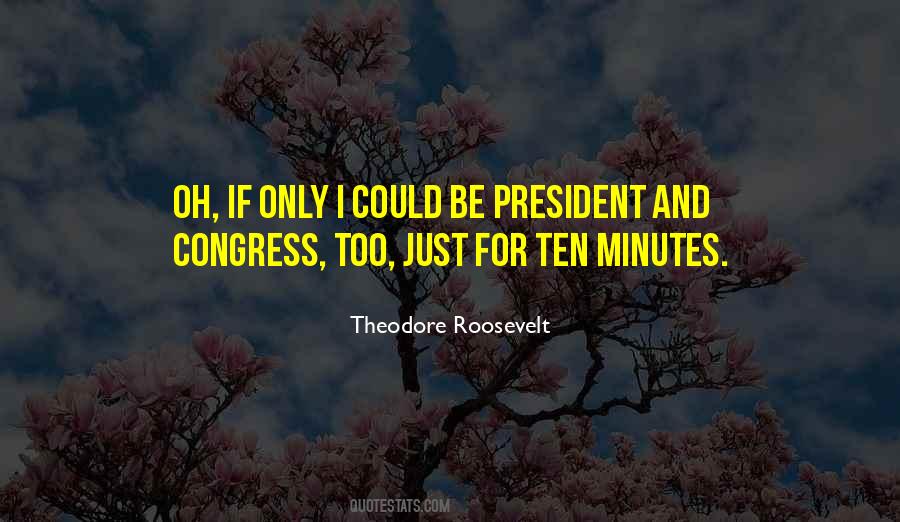 President Theodore Roosevelt Quotes #1183355