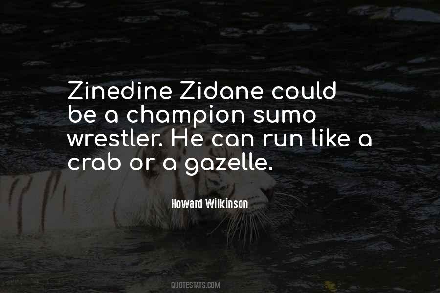 Quotes About Zinedine Zidane #1510482