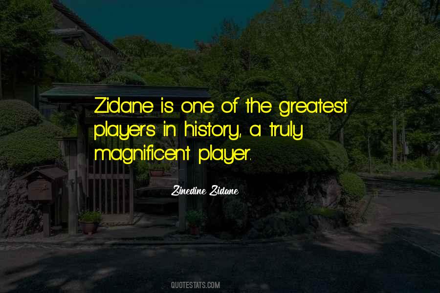 Quotes About Zinedine Zidane #308533