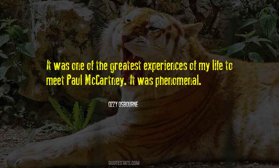 Quotes About Paul Mccartney #634380