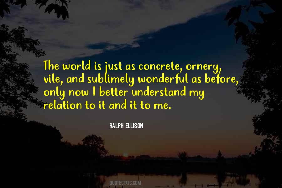 Quotes About Ralph Ellison #212637