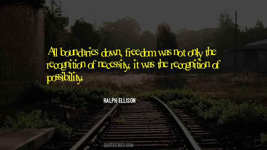 Quotes About Ralph Ellison #447567