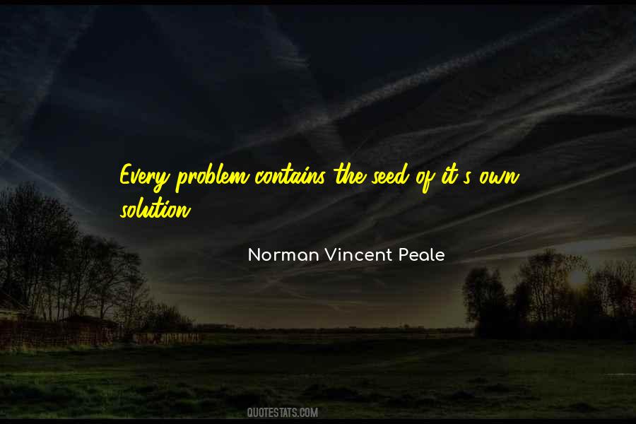 Problem Solution Quotes #62690