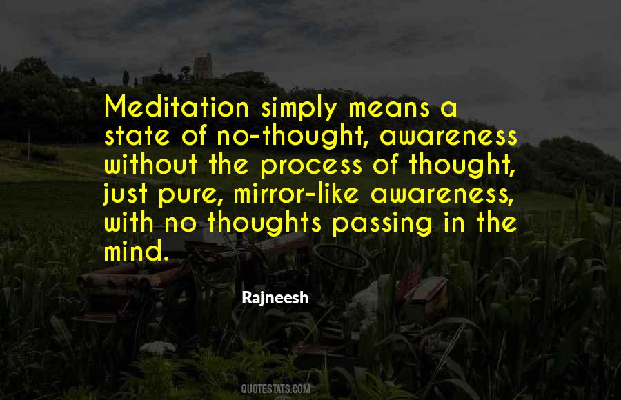 Process Of Thought Quotes #1499379