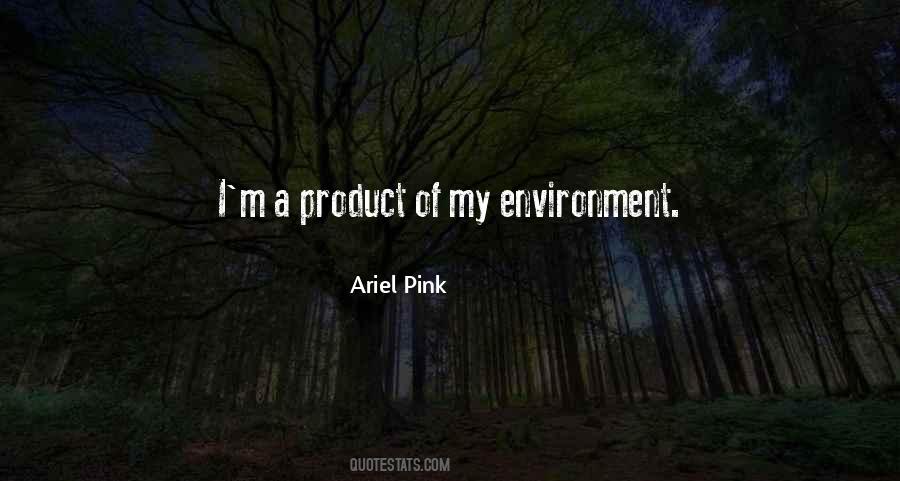Product Of My Environment Quotes #1055996