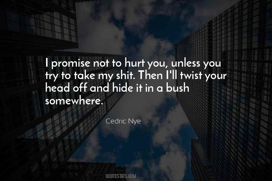 Promise Not To Hurt Me Quotes #335101
