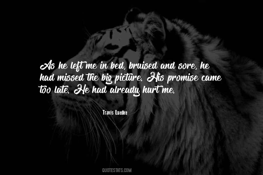 Promise Not To Hurt You Quotes #214088
