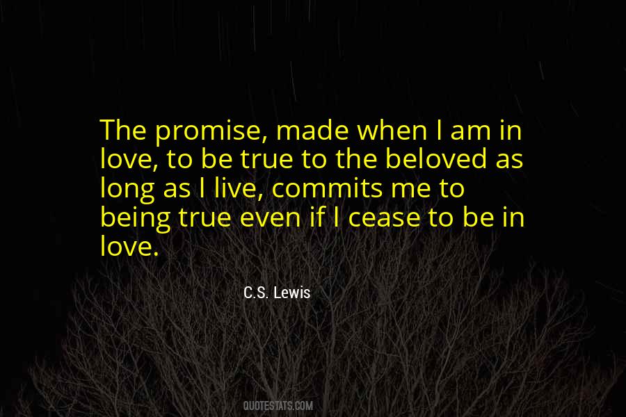 Promise To Love Me Quotes #1467109