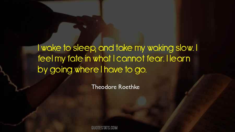 Quotes About Theodore Roethke #1424346