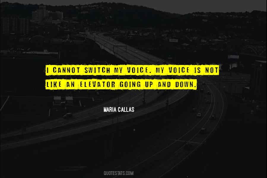 Quotes About Maria Callas #1219026