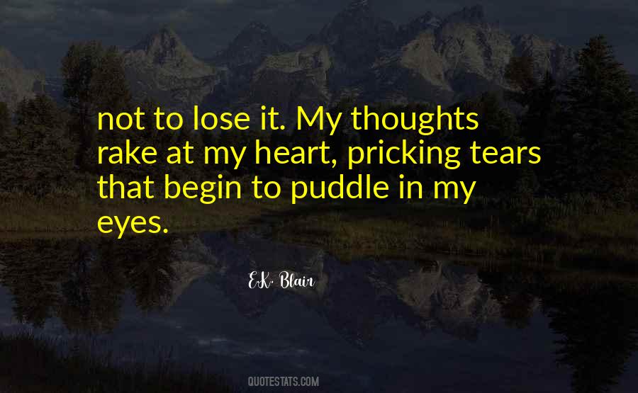 Puddle Of Tears Quotes #514743